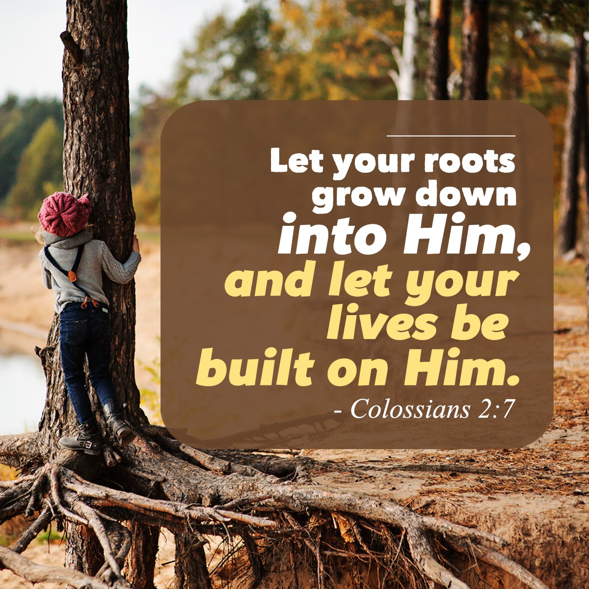 Let your roots grow down into Him Col. 2:7